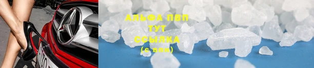 соль курить ск Бородино
