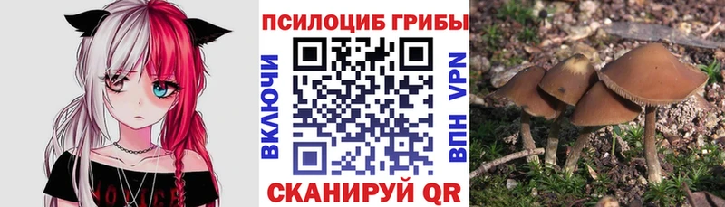 Галлюциногенные грибы Psilocybine cubensis  mega ССЫЛКА  Псков  дарнет шоп 